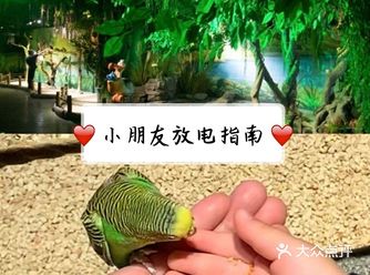 初夏是美的,那是一种有别于艳阳春天的美