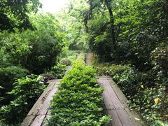 -杭州半山国家森林公园