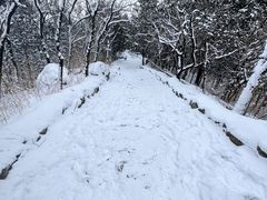-阳台山自然风景区