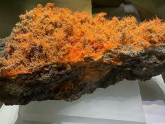 -湖南省地质博物馆