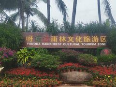 -呀诺达热带雨林