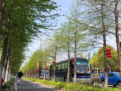 -上海长兴岛郊野公园