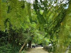 -汕头莲花山度假村温泉