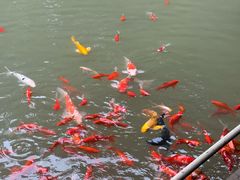 -陶祖圣境风景区