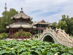 -莲池书院博物馆
