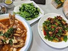 -煲来饱去冷水鱼