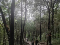 -腊山国家森林公园