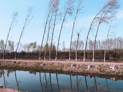 -东郊湿地公园