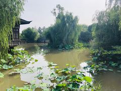 -韩湘水博园