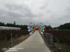 -上海长兴岛郊野公园