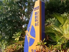 -演武大桥观景平台