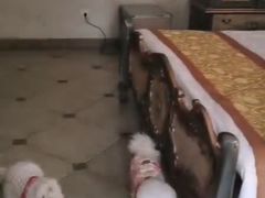 -御林汤泉