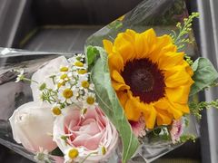 -东椰·海南椰子鸡火锅(朝阳门店)