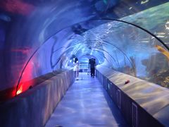 -太平洋海底世界