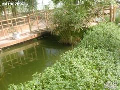 -观光南瓜园