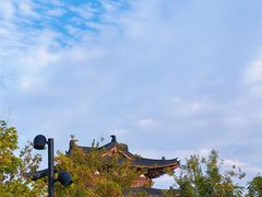 -江心屿景区