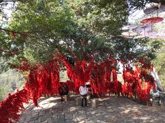 -玉石林风景区