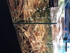 -蟹之国·精品蟹料理(极地店)