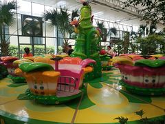 -南宫五洲植物乐园