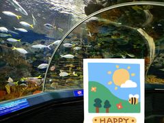 -上海海洋水族馆