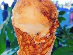 冰淇淋-Patagonia Chocolates(皇后镇店)