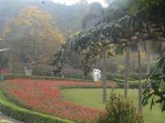 -沙河粉村·国家非遗传承(云台店)