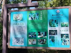-滕州微山湖红荷湿地景区