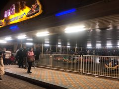 -锦江乐园舞狸花花游园会(夜场专享)