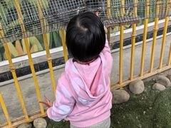 -南湖梦幻岛