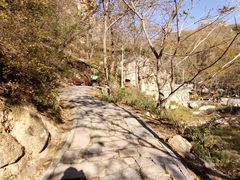 -大岭沟猕猴桃谷风景区