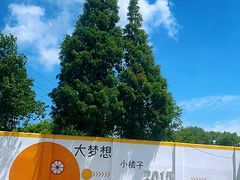 -前小桔亲子创意农场·草莓采摘·露营烧烤