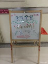 -净漪造型 PURE RIPPLE