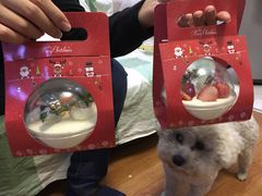 -爱立颂(美莲广场店)
