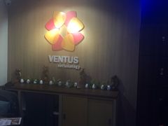 -ventus spa 沙巴亚庇正宗精油按摩会所