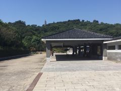 -巢湖姥山岛