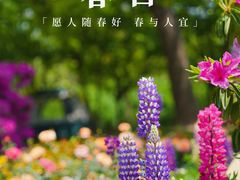 -上海滨江森林公园