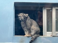 -青藏高原野生动物园