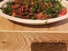 -油梨树AVOCADO TREE(嘉里中心店)