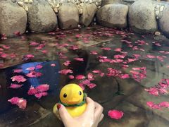 -北京美神宫艺术主题温泉酒店