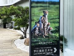 -罗红摄影艺术馆