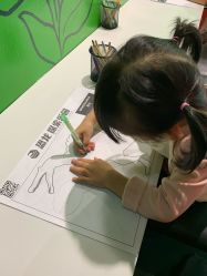 -恐龙探索乐园(磁器口店)