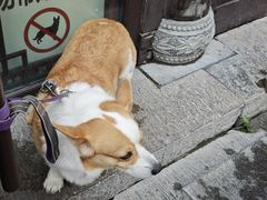 -许老八包子铺(回龙窝店)