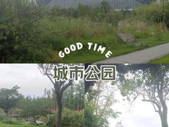 -桂溪生态公园