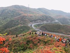 -大围山国家森林公园