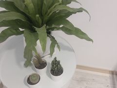 -花沐 FLOWER BATH(凤凰城店)