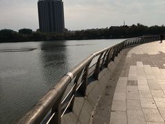 -南翔镇银翔湖公园
