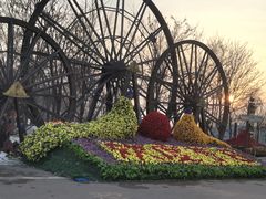 -呀路古热带植物园