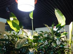 -滇之味菌王府(福建路店)