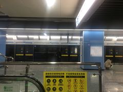 -大龙山(地铁站)