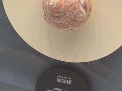 -中国（海南）南海博物馆